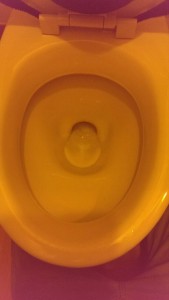 トイレが詰まっている