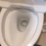 トイレの詰まりが直った所