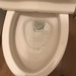 トイレが詰まっているところ
